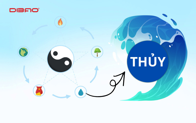 mệnh thuỷ mua xe màu gì hợp